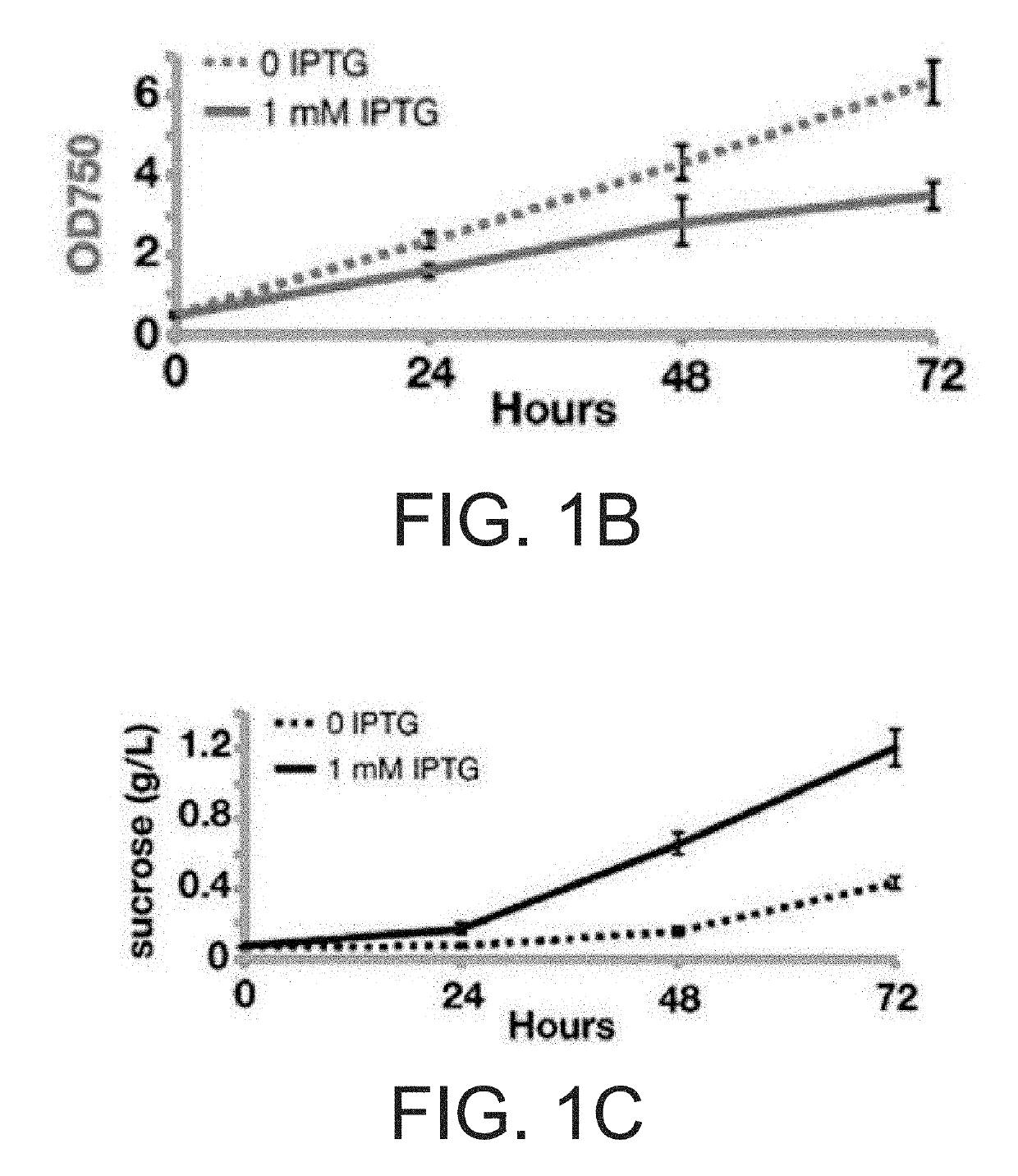 Two phase sustainable photoproduction via co-cultivation of encapsulated, carbohydrate-producing cyanobacteria