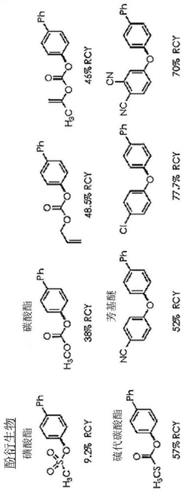 Direct aromatic carbon-oxygen and carbon-hydrogen bond functionalization via organic photoredox catalysis