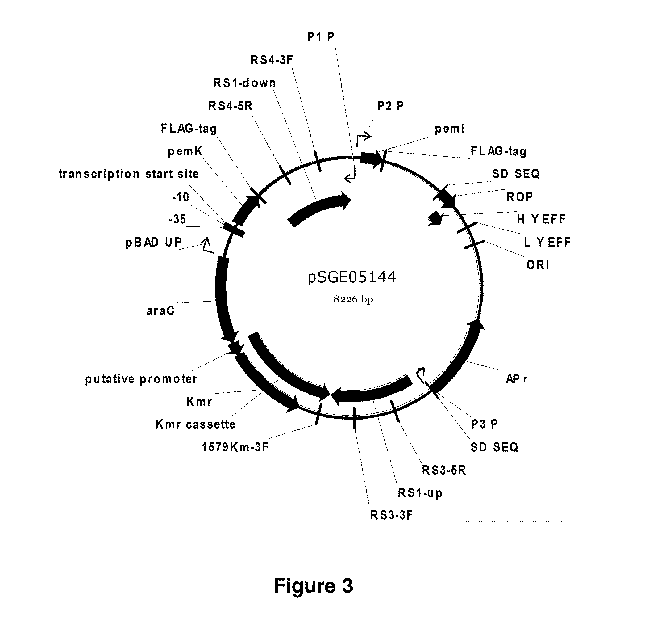 Regulation of toxin and antitoxin genes for biological containment