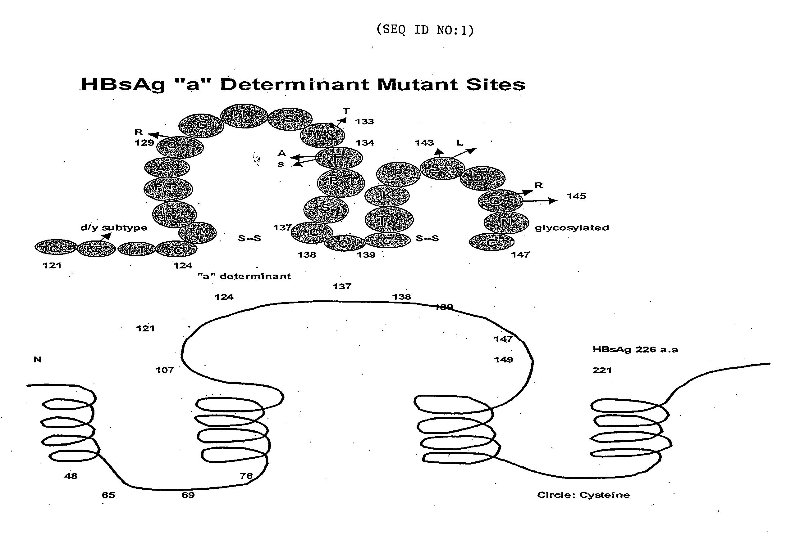 Rabbit monoclonal antibodies to hepatitis B surface antigens and methods of using the same