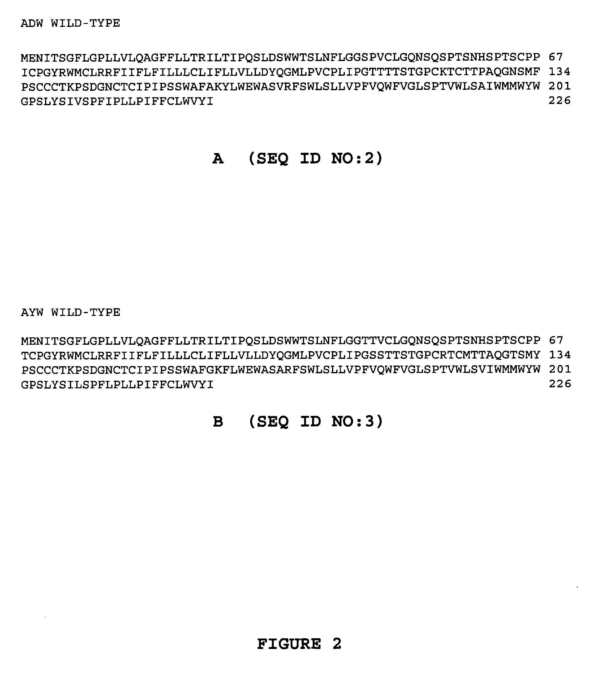 Rabbit monoclonal antibodies to hepatitis B surface antigens and methods of using the same