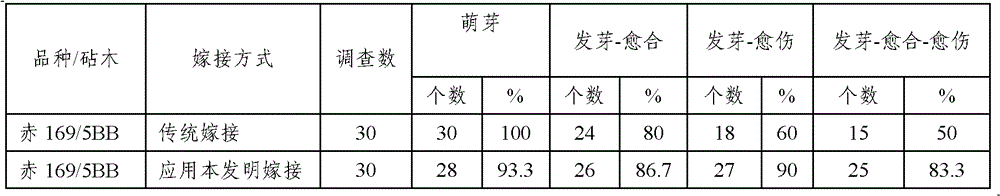 Rootstock opening-cleaving device and application thereof