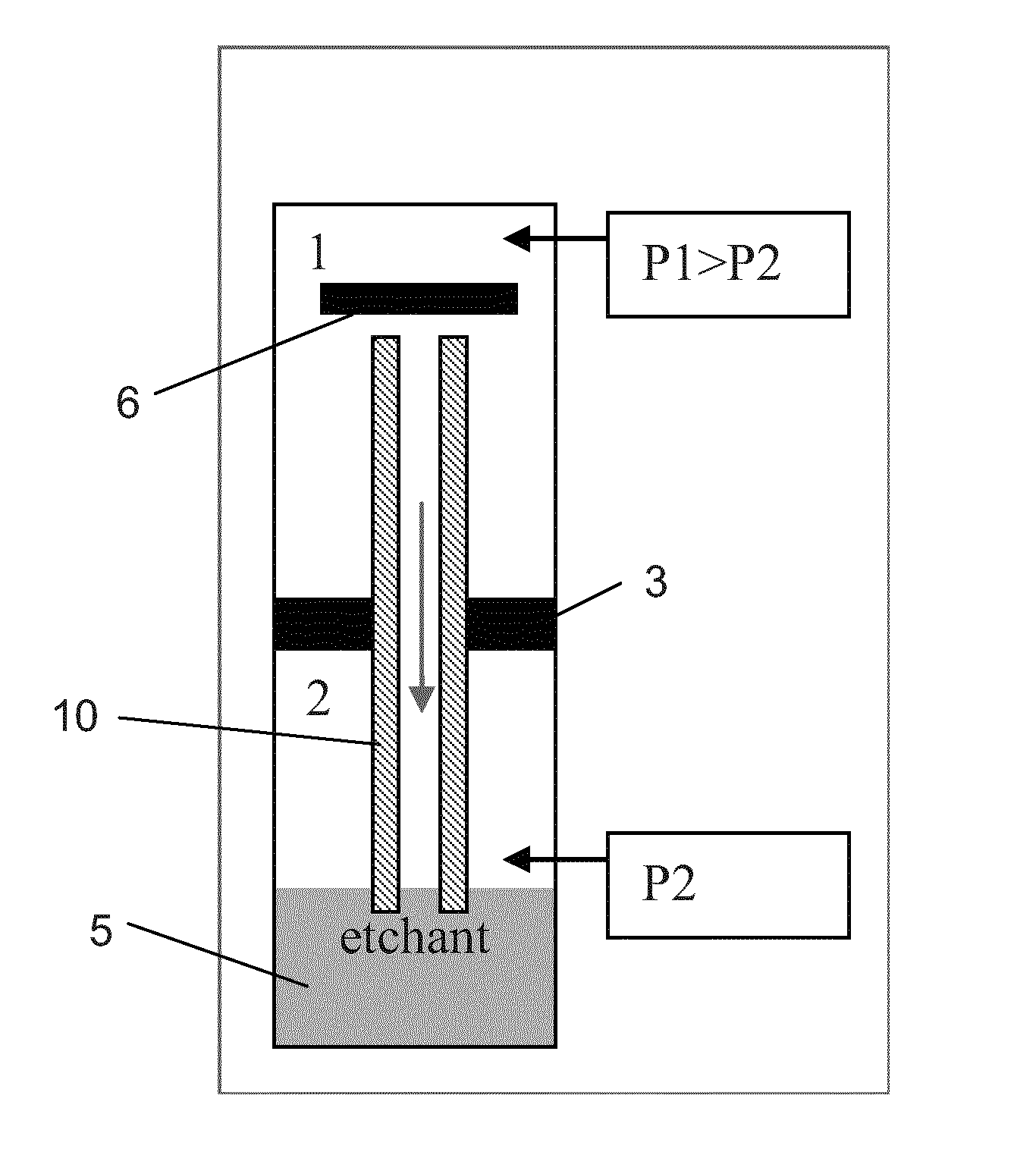 Process for Shaping a Needle Cannula