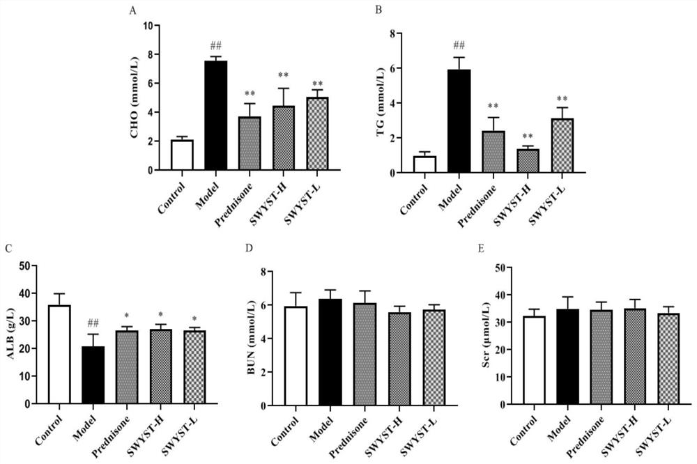 Application of traditional Chinese medicine composition in preparation of medicine for treating podocytosis