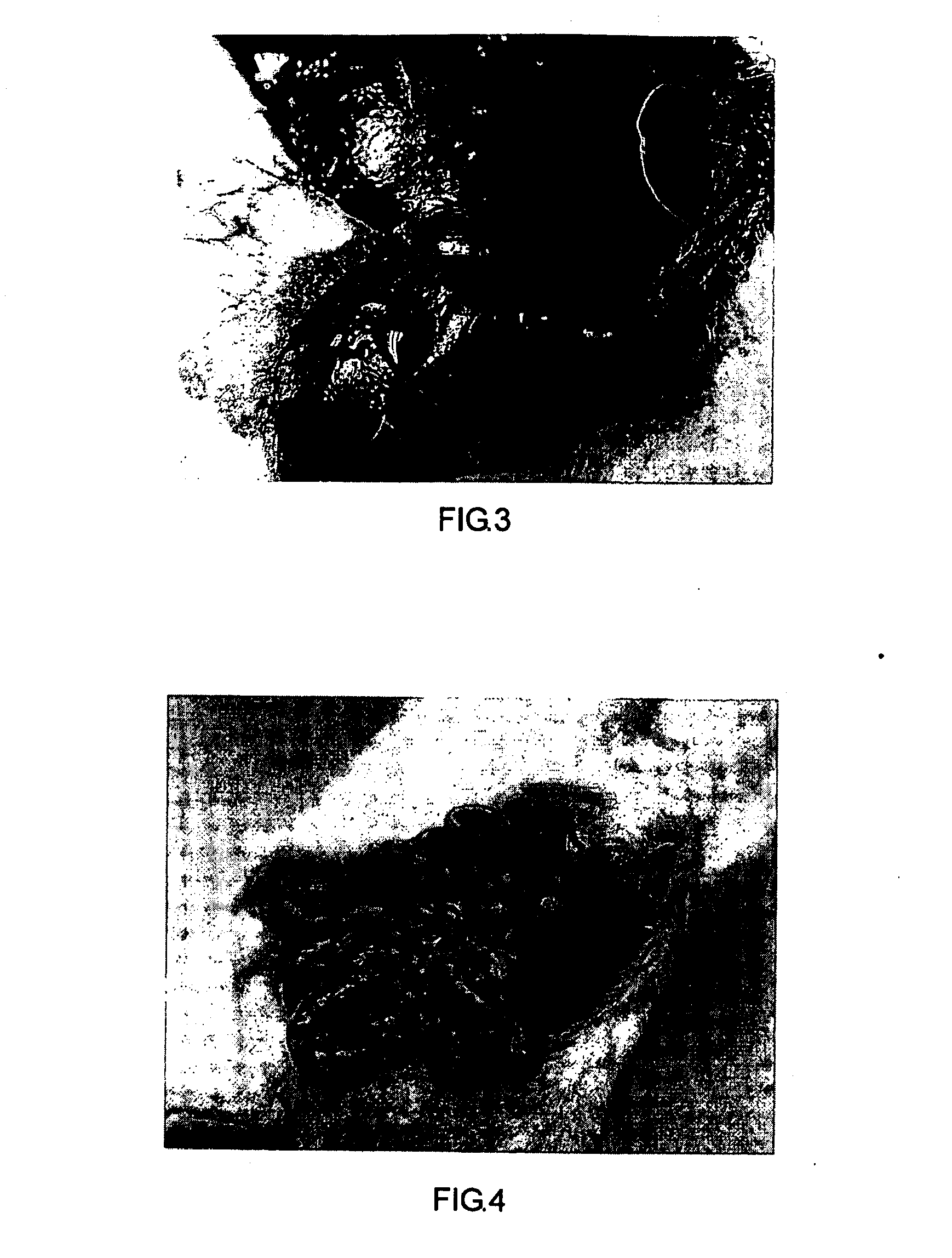 Modified starch material of biocompatible hemostasis