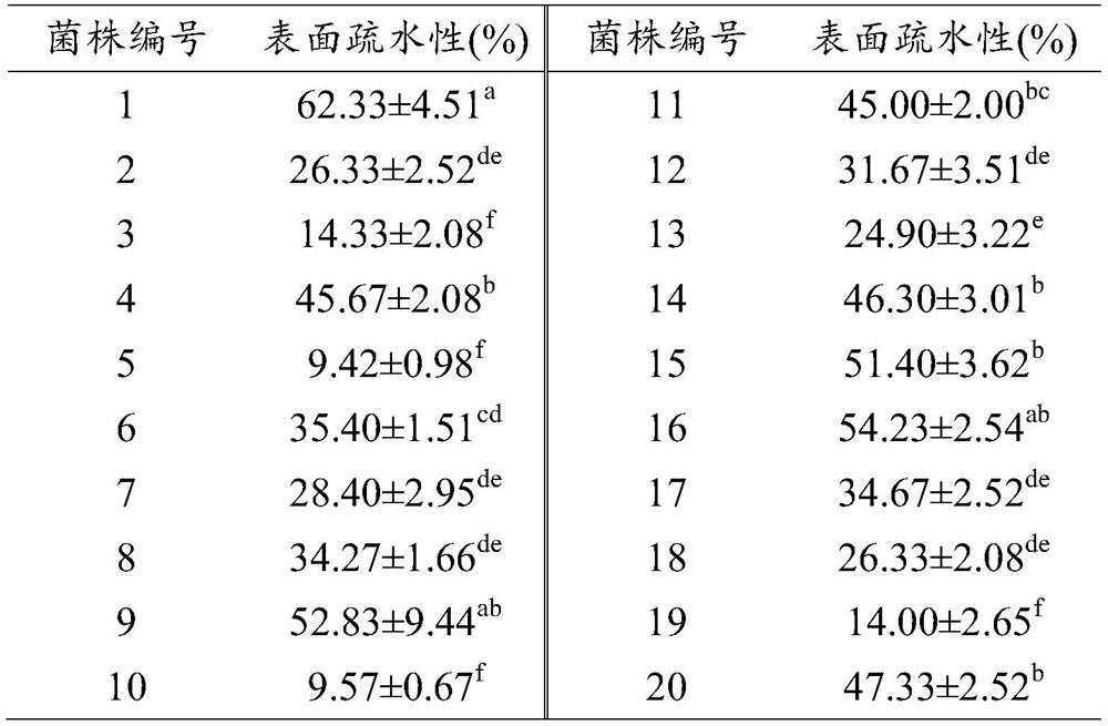 Lactobacillus plantarum and microecological preparation, preparation method and application thereof