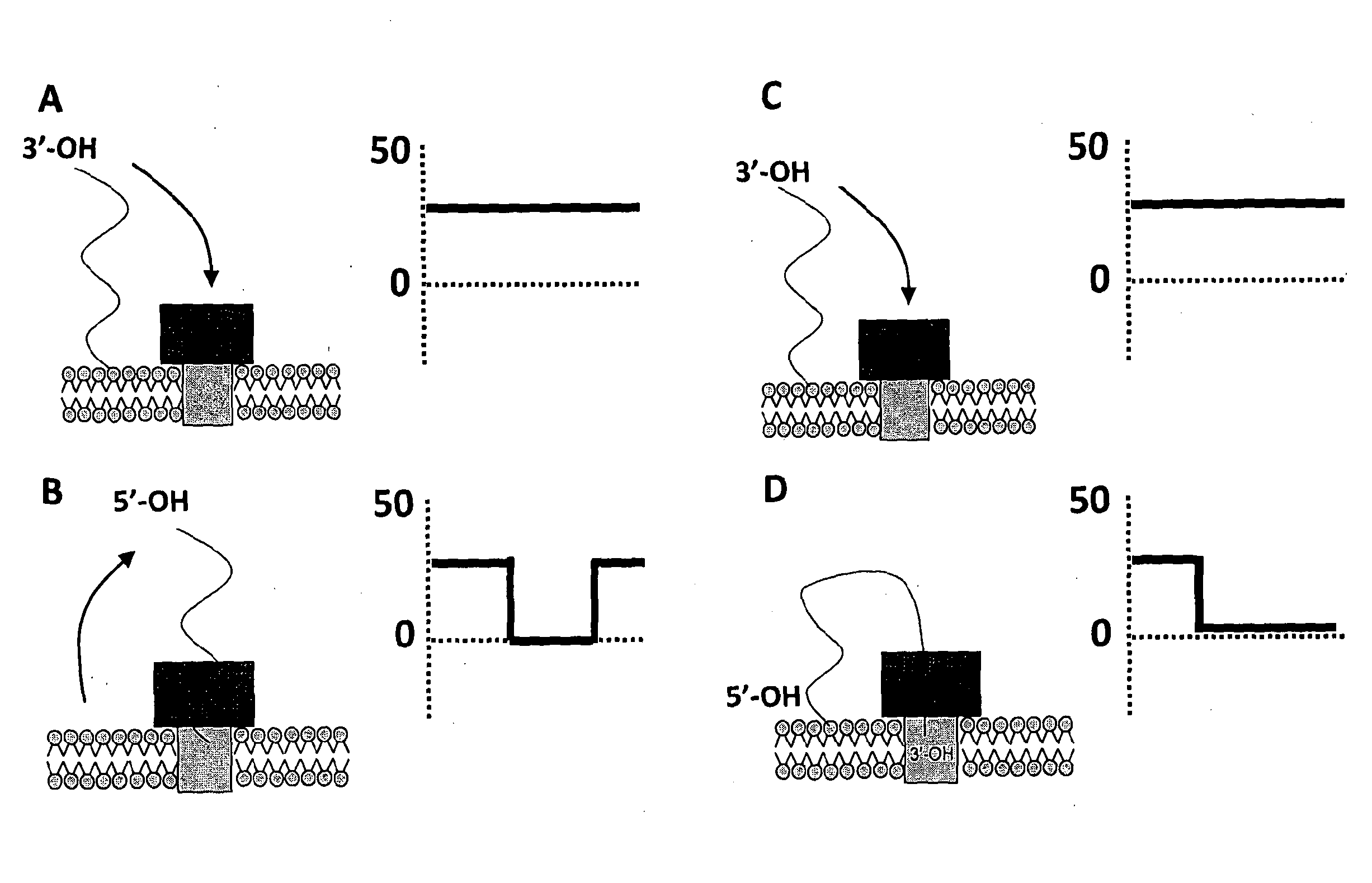 Coupling method