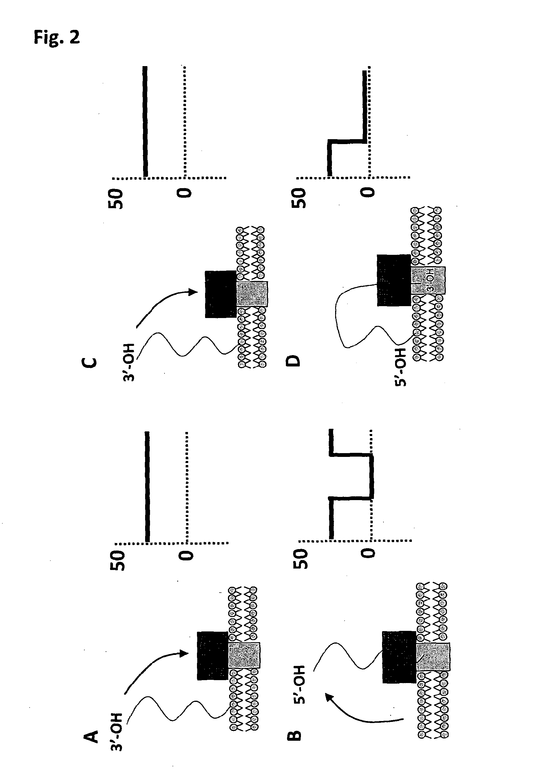 Coupling method