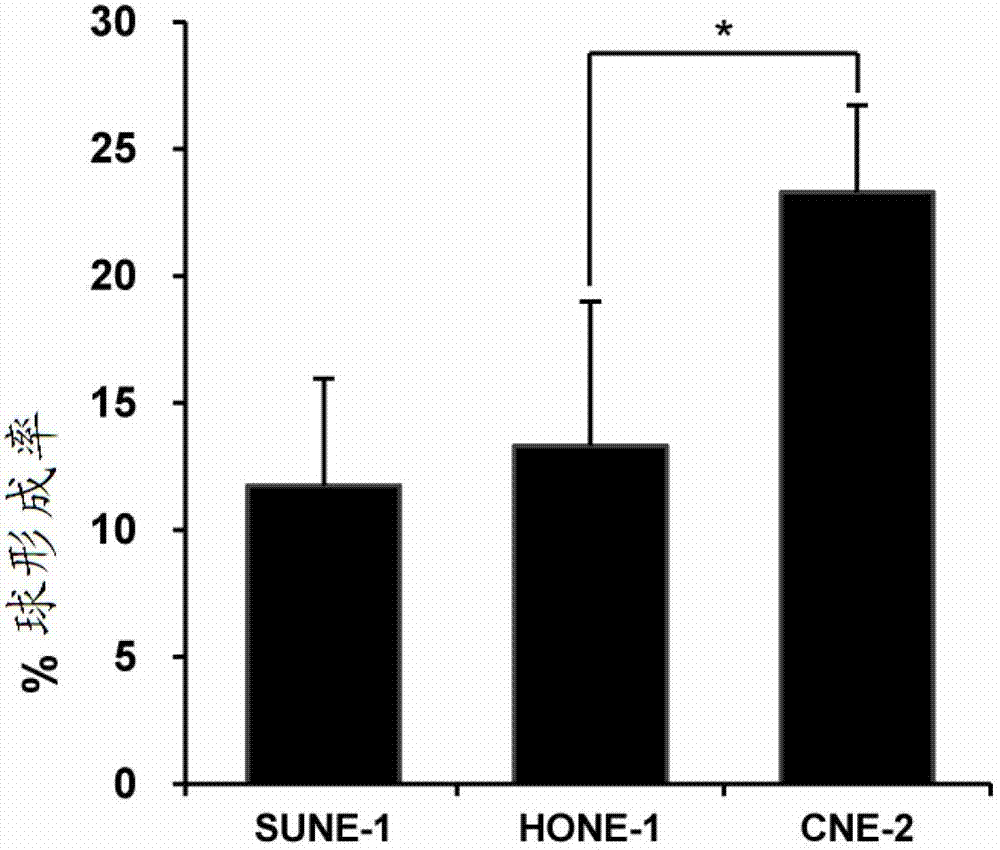 Method for establishing human nasopharyngeal carcinoma tumor stem cell line