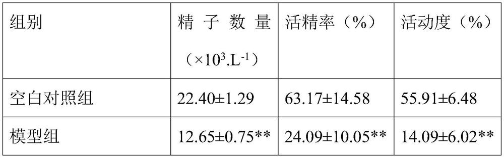 Gel for scrotum, gel patch as well as preparation method of gel and application of gel patch