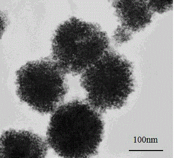 Preparation method for biocompatible magnetic microspheres collaboratively modified by two macromolecules