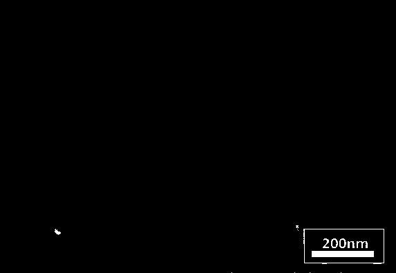 A kind of preparation method of highly periodic ti-fe alloy oxide photonic crystal electrode