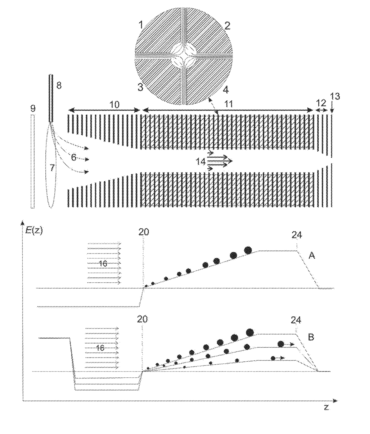 Triple quadrupole mass spectrometry coupled to trapped ion mobility separation