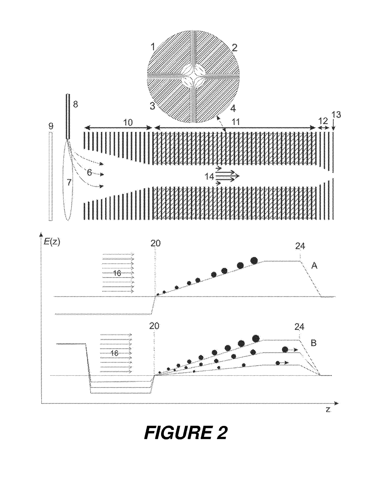 Triple quadrupole mass spectrometry coupled to trapped ion mobility separation