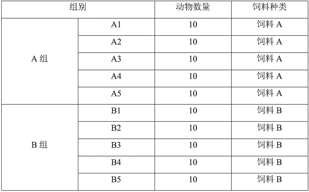 Antibiotic-free feed for fattening-stage pigs and preparation method thereof