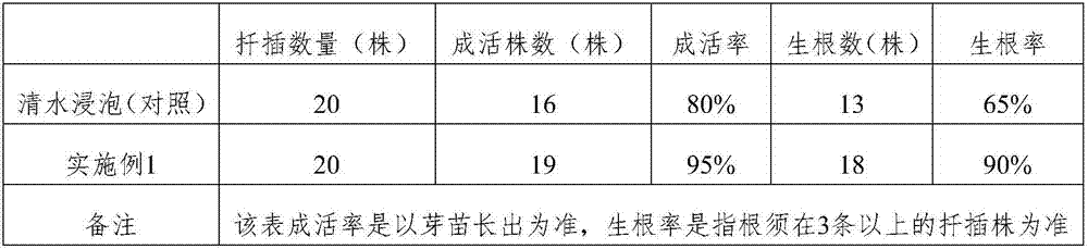 Method of Chinese honeylocust fruit seedling raising by cutting