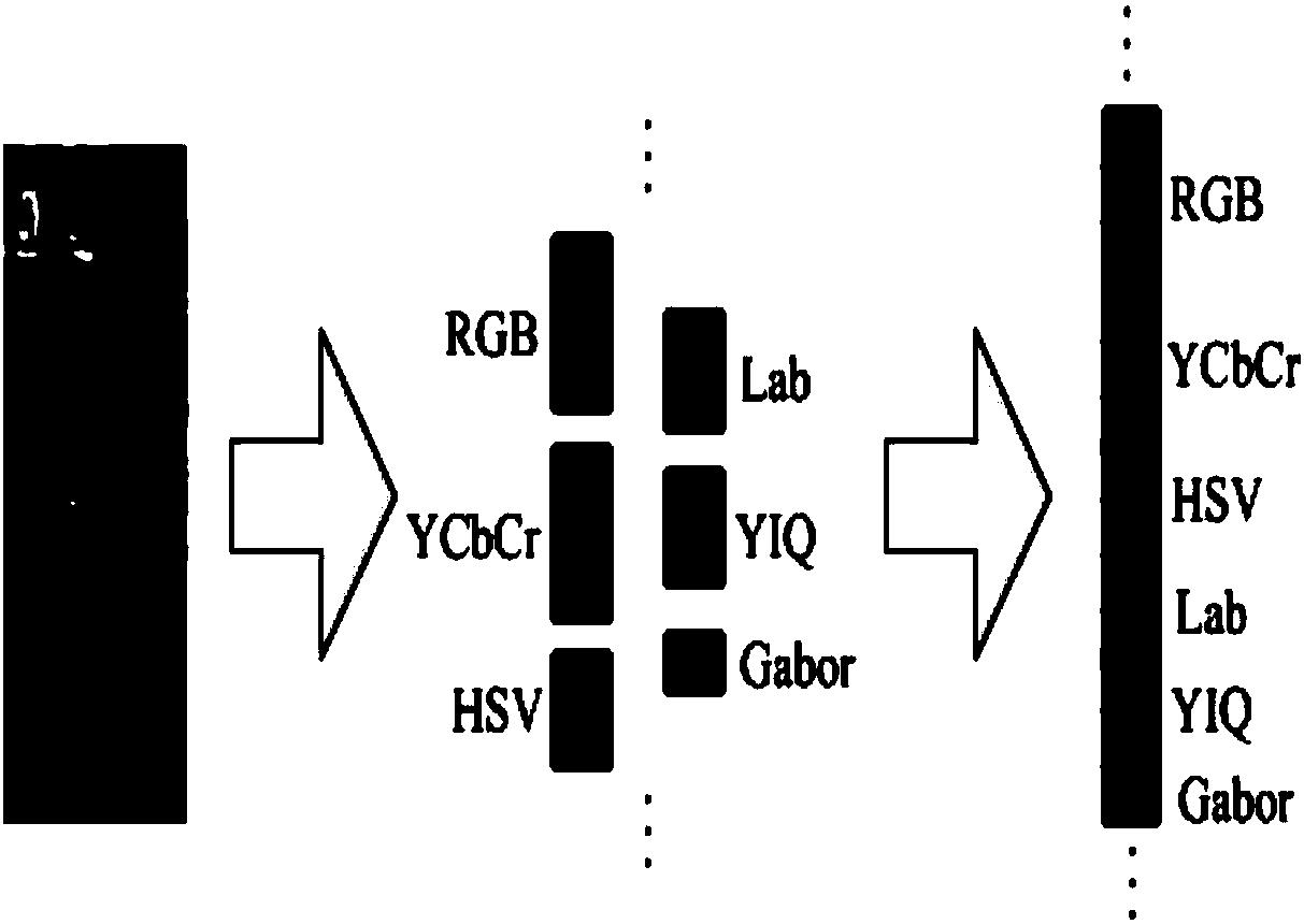 Pedestrian re-identification method based on distance centralization and projection vector learning