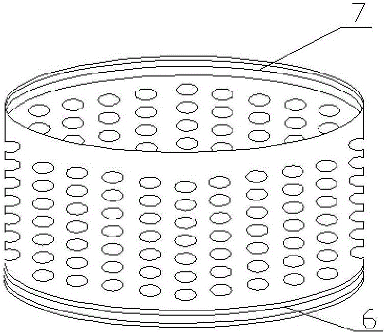 Leech culture device and ecological culture method