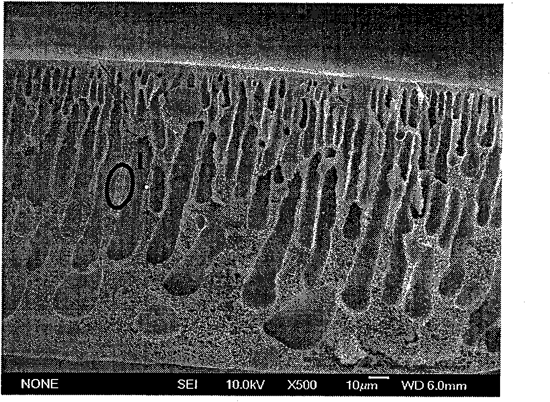 Method for preparing polyaniline and nano-fibre blend composite film