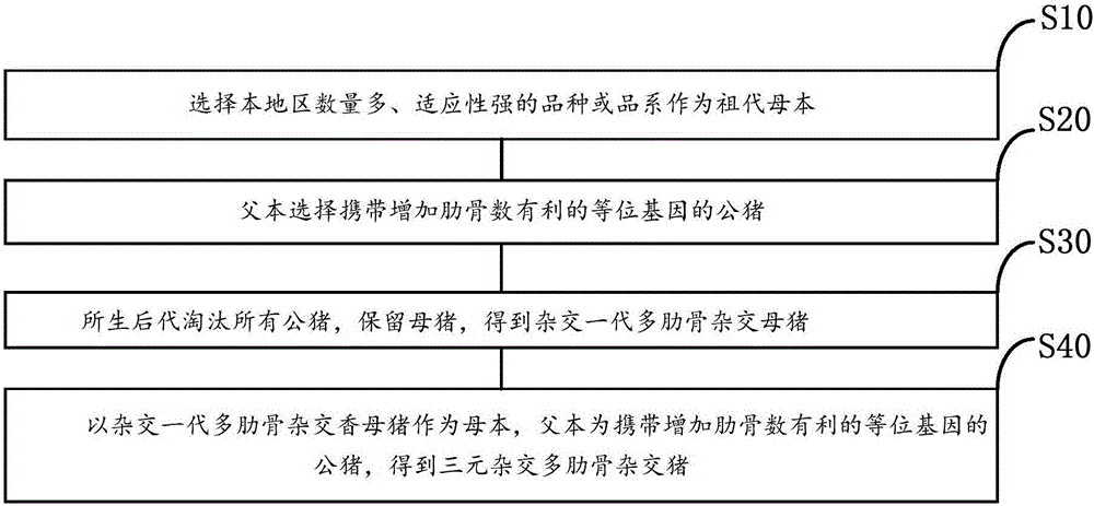 Cultivation method for multi-rib hybridization boars with high applicability