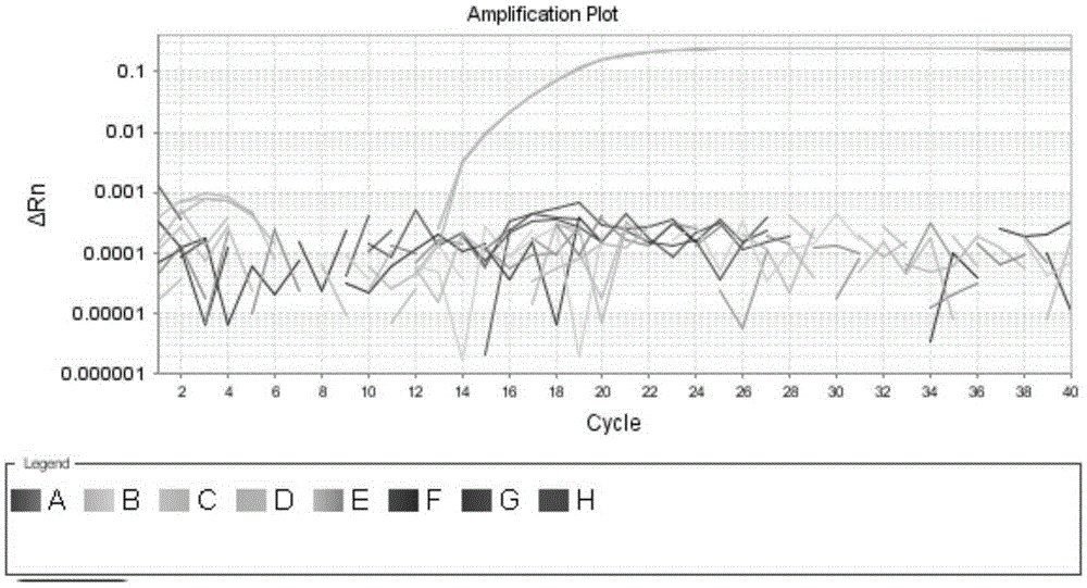 Fast qualitative and quantitative detection kit for enterococcus faecalis added to feed, detection method and application