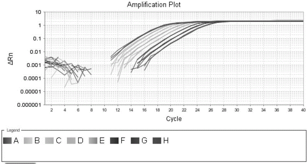 Fast qualitative and quantitative detection kit for enterococcus faecalis added to feed, detection method and application