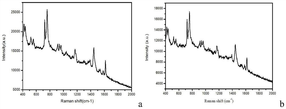 Cleaning and reassembling method of surface enhanced Raman spectrum substrate