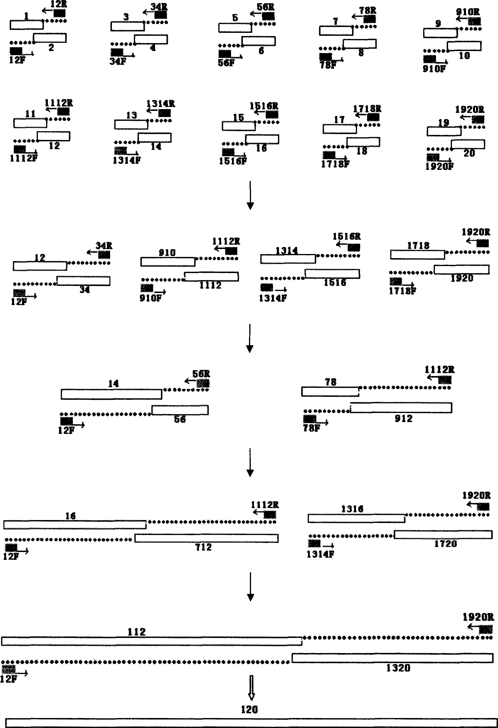 Antineoplastic invasion transfer function of snake venom metalloprotease inhibitors BJ46a and uses thereof