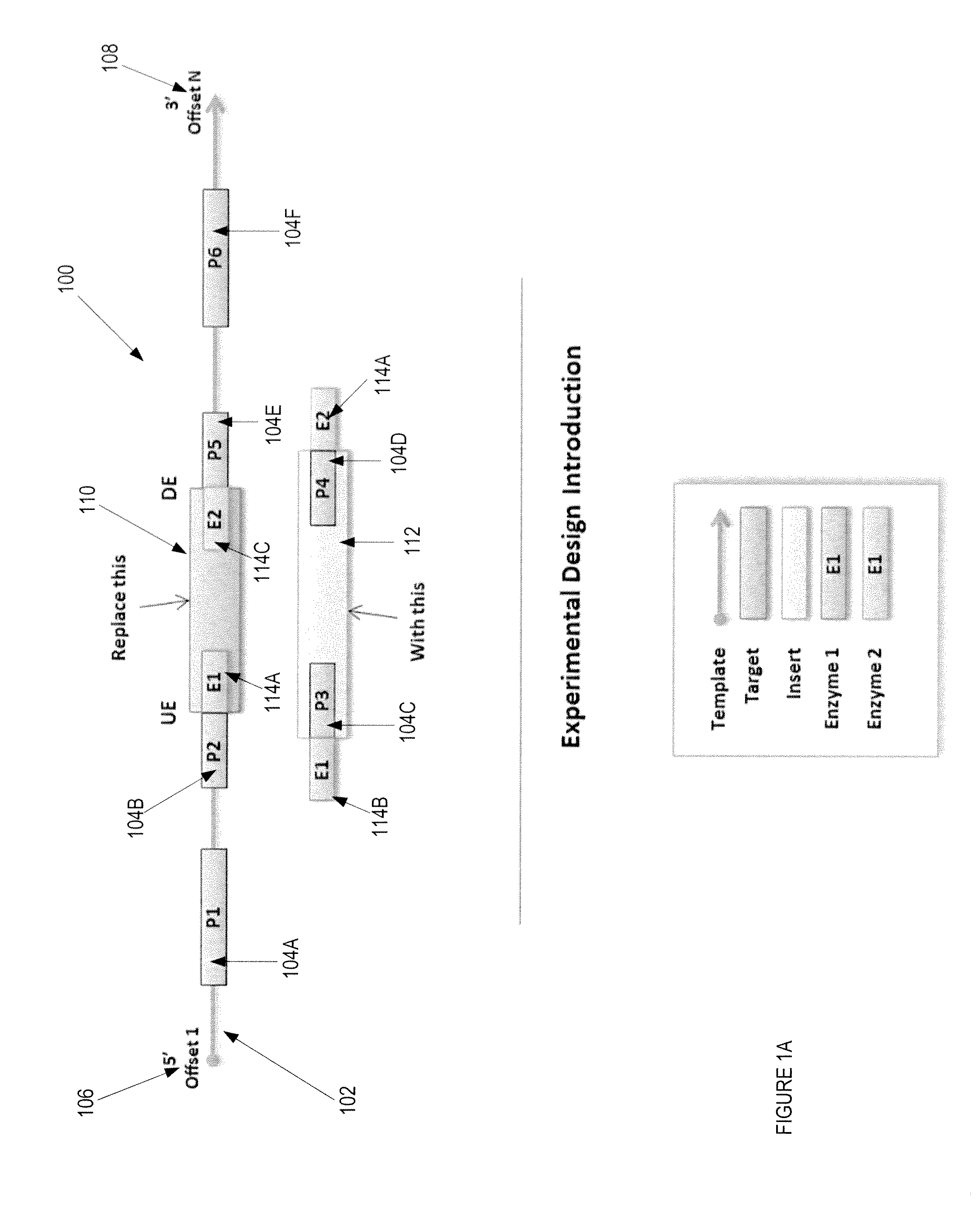 Automated Experimental Design For Polymerase Chain Reaction