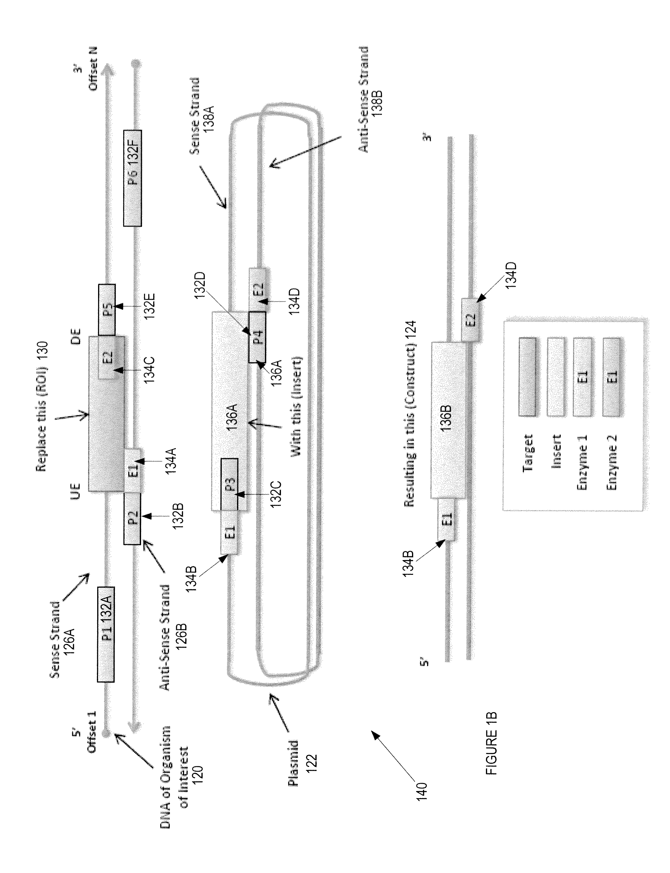 Automated Experimental Design For Polymerase Chain Reaction