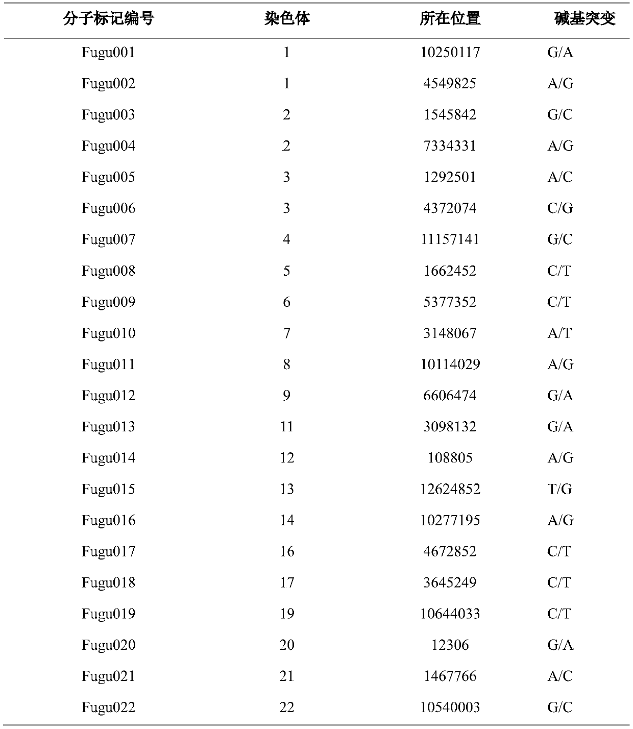 SNP molecular marker combination for identifying species of puffers