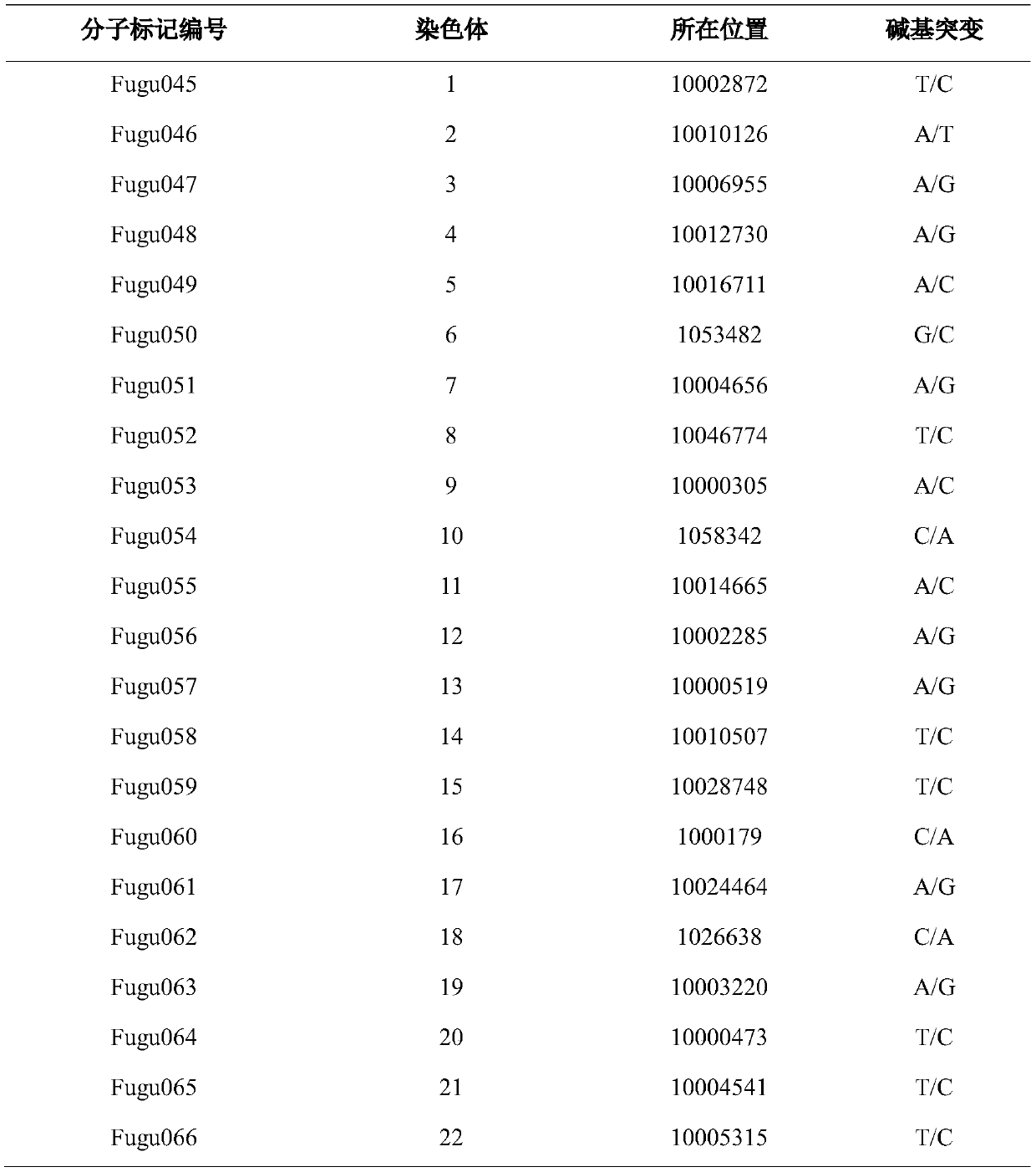 SNP molecular marker combination for identifying species of puffers