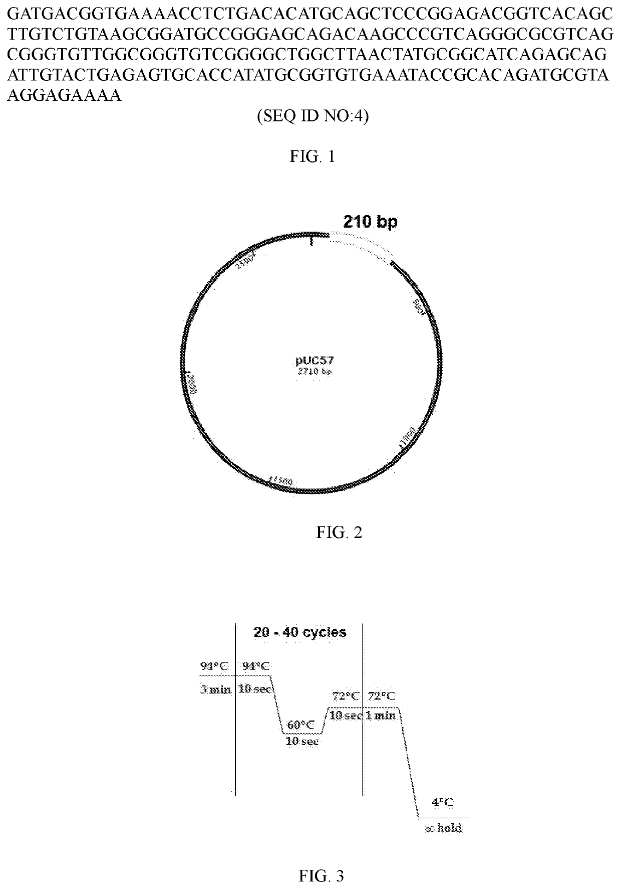 Method for detecting, locating and monitoring seepage and leakage of hydraulic structures