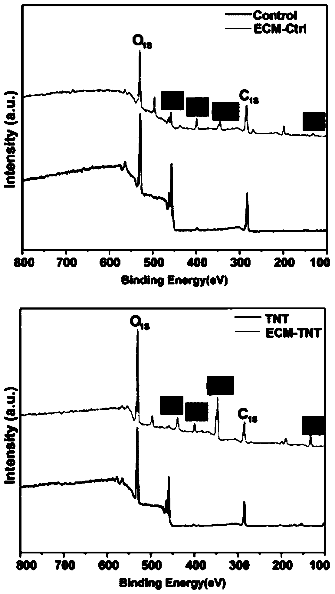 Surface treatment method of implant and bionic implant