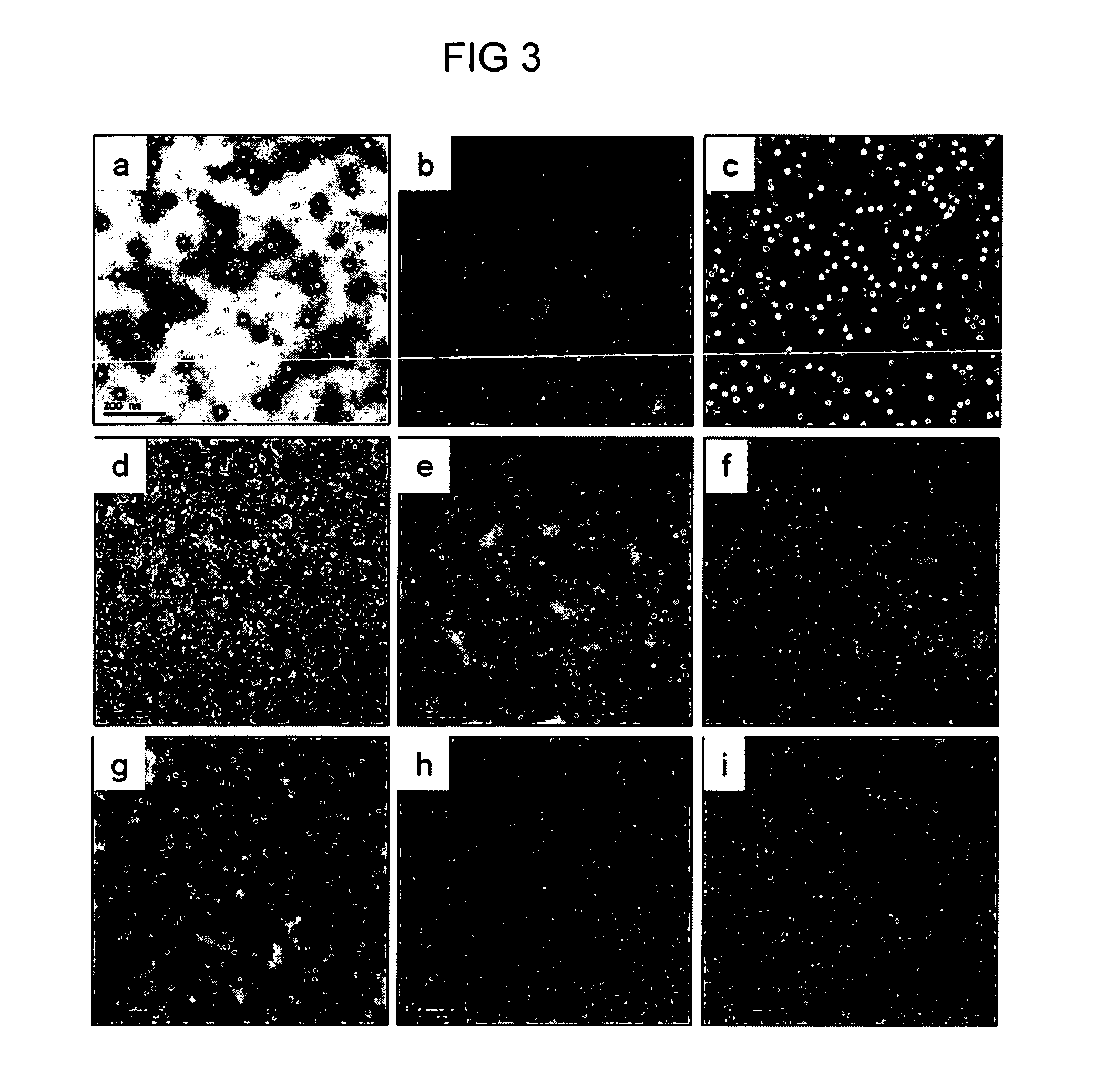 Chimeric fusion proteins and virus like particles from birnavirus vp2