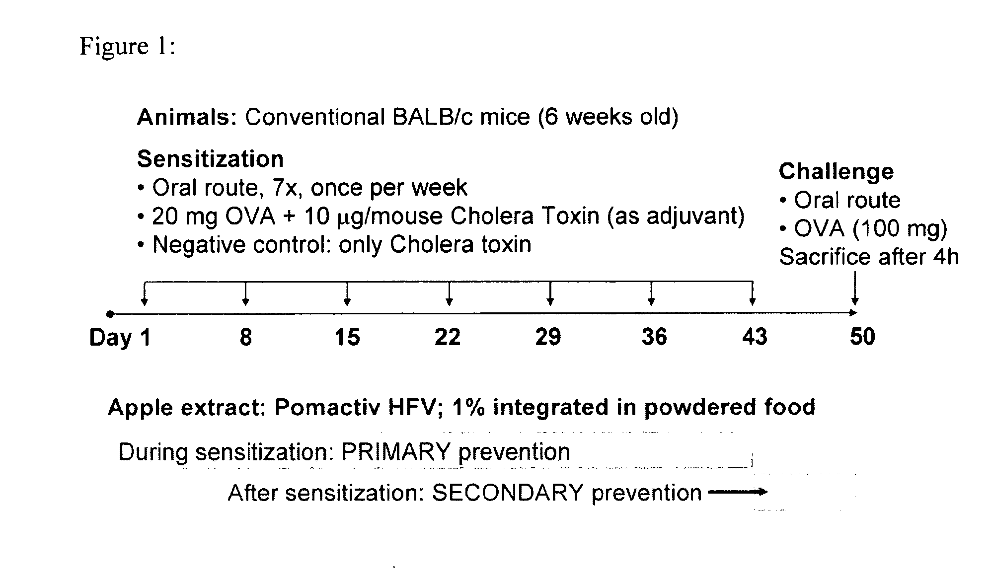 Nutritional composition comprising an apple extract and reducing food allergy symptoms, especially in children