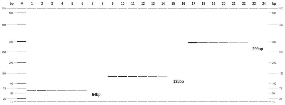 A multiple PCR detection kit for Anopheles glabra, Anopheles multicolored and Anopheles aconitum