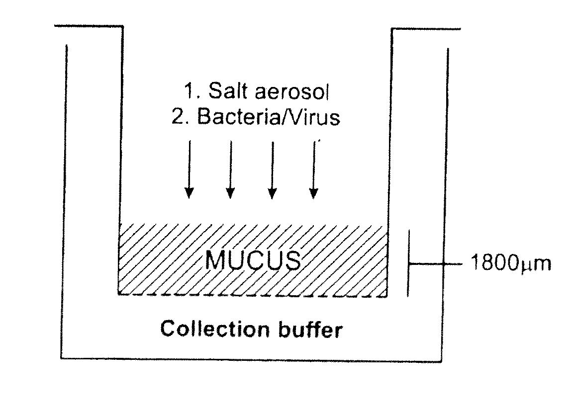 Dry powder formulations and methods for treating pulmonary diseases