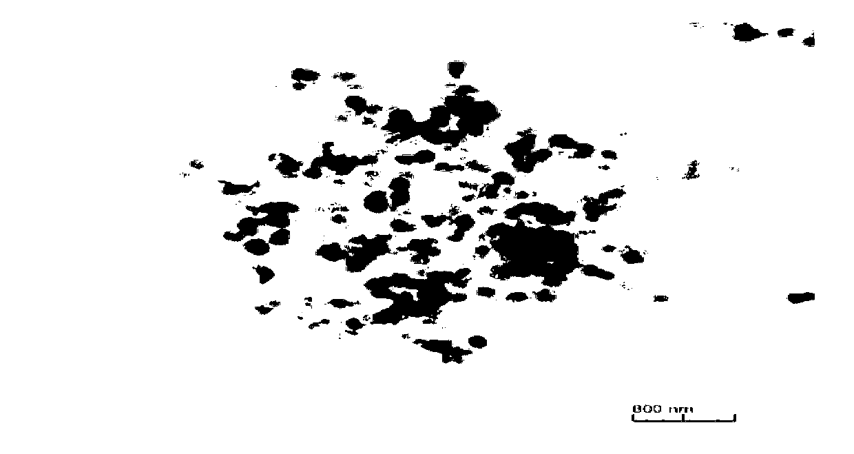 Surface-aminated Fe3O4 nano particle and preparation method and application thereof