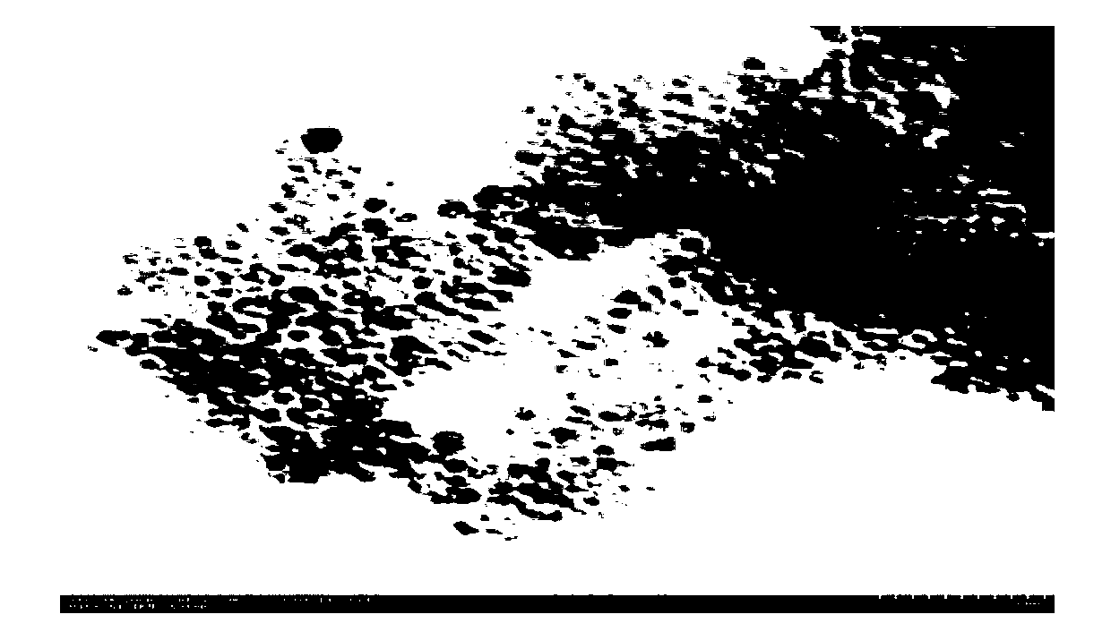 Surface-aminated Fe3O4 nano particle and preparation method and application thereof