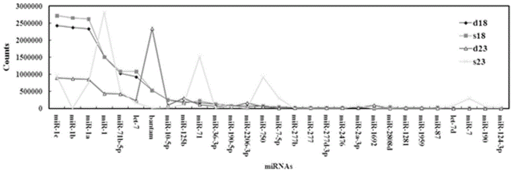 Analysis and identification method on miRNA key target gene of blood fluke in specific growth period