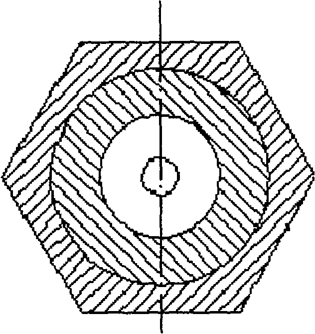 Method for prodn. of dripping pills of andrographolide