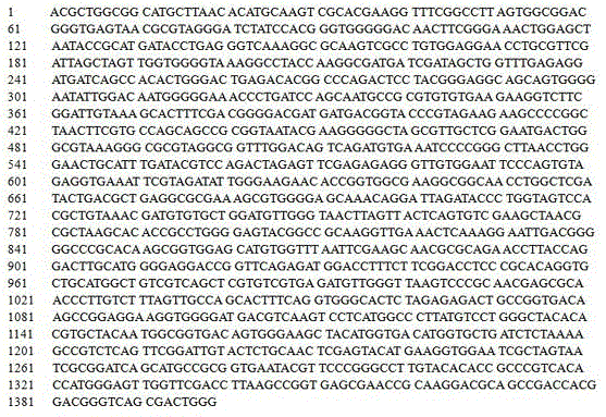 A kind of bacterial strain hd385 and method for producing L-erythrulose by microbial fermentation