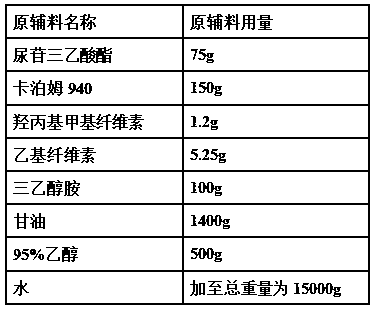 Transdermal preparation for treating oral mucositis caused by radiotherapy of tumor