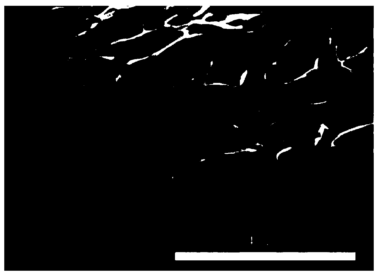 Preparation method of polyacrylic acid flexible composite hydrogel electrolyte