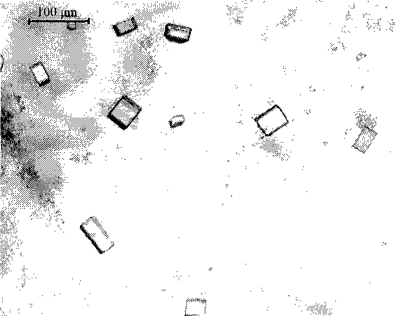 Method for crystallizing protein by using ion liquid