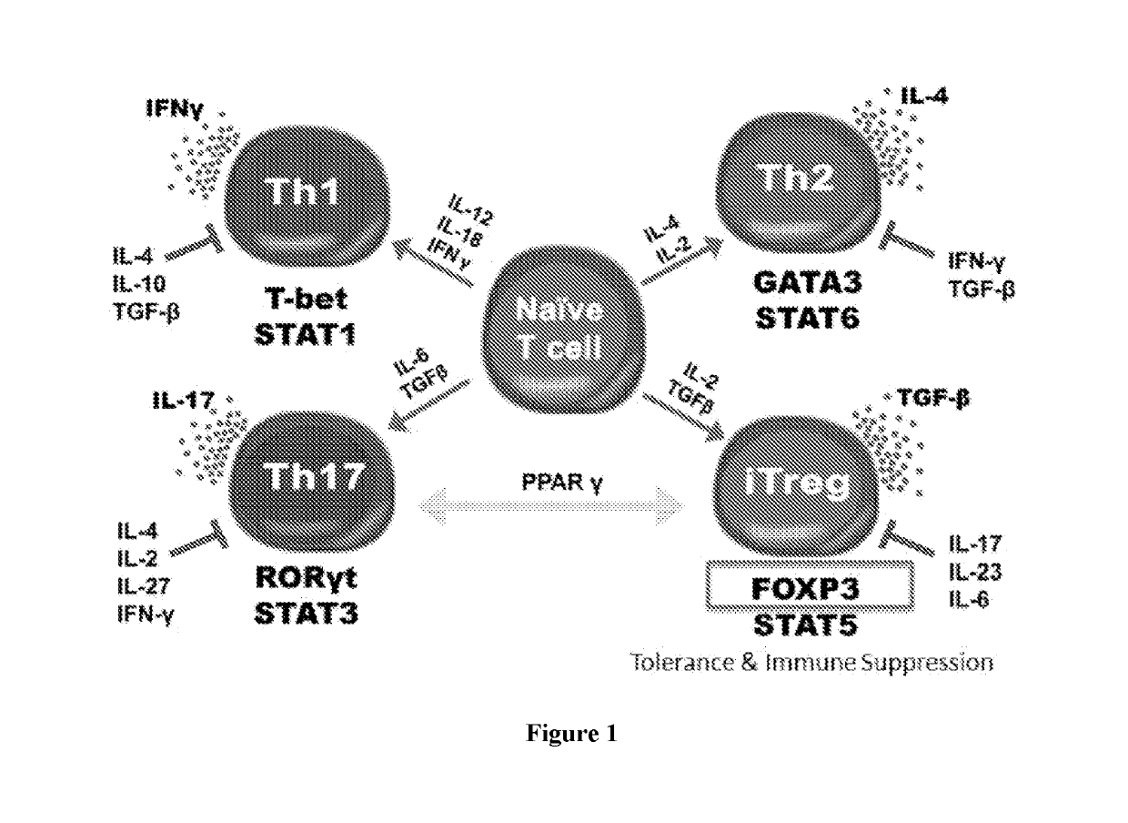 Method for treating autoimmune disease using cd4 t-cells with engineered stabilization of expression of endogenous  foxp3 gene