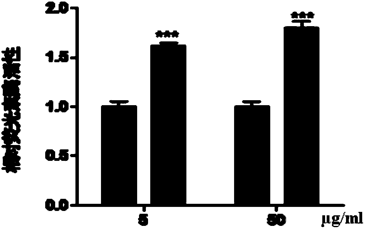 Ultra-short peptides promoting collagen secretion and application thereof