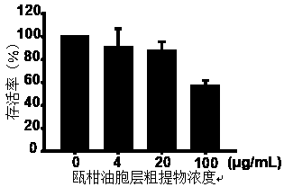 Application of mandarin orange oil droplet layer crude extract in inhibiting metastasis of ovary carcinoma