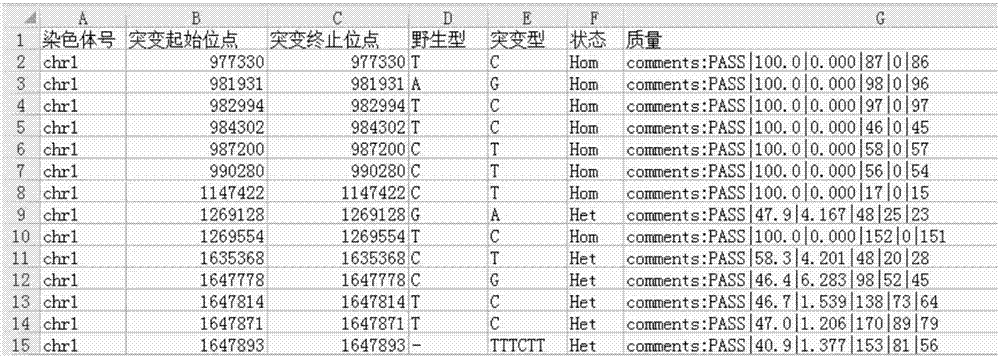 Gene mutation evaluation method and system